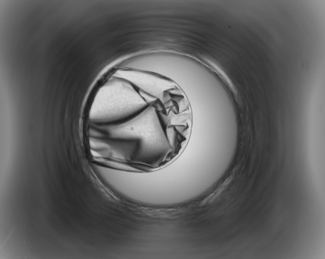 X0000085240932200703301744