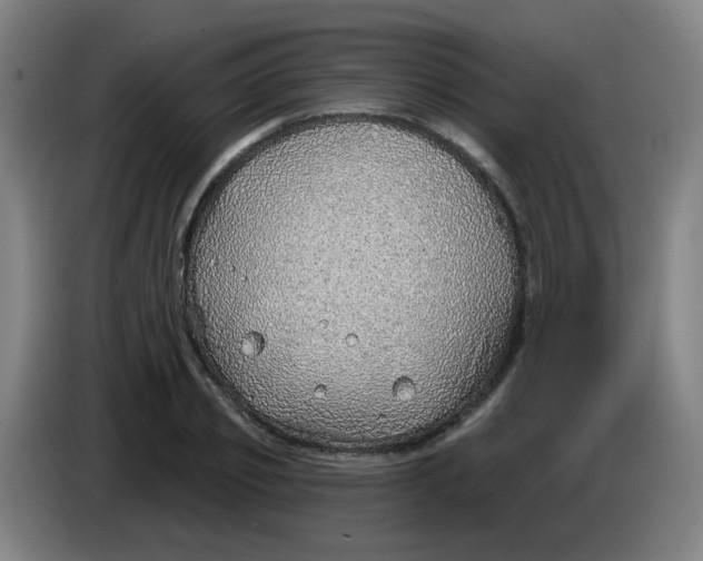 X0000085240933200703301744