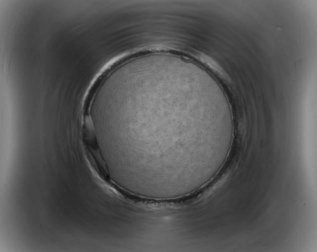 X0000085240934200703301744