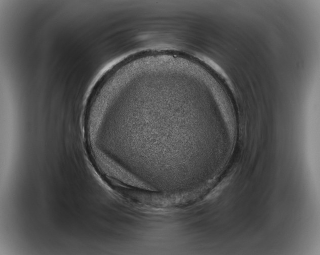 X0000085240935200703301744