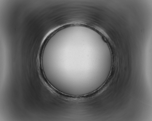 X0000085240936200703301744