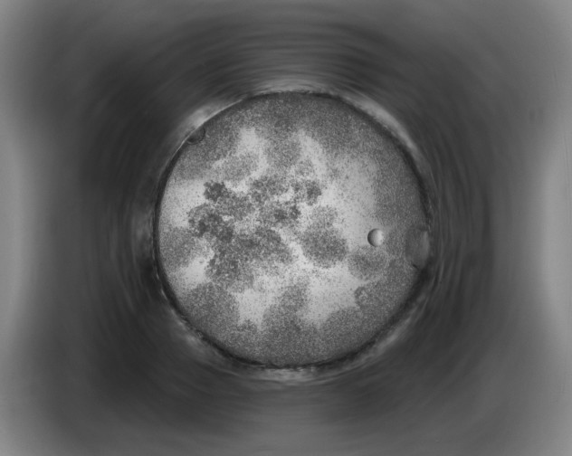 X0000085240937200703301744