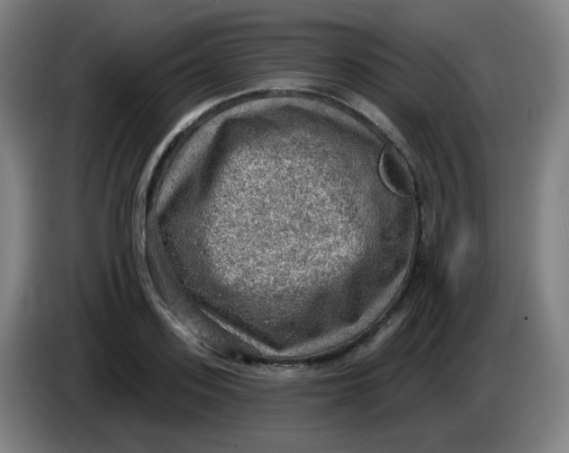 X0000085240939200703301744