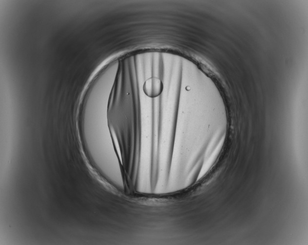 X0000085240942200703301744