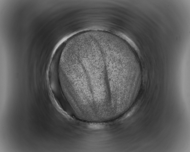 X0000085240944200703301744