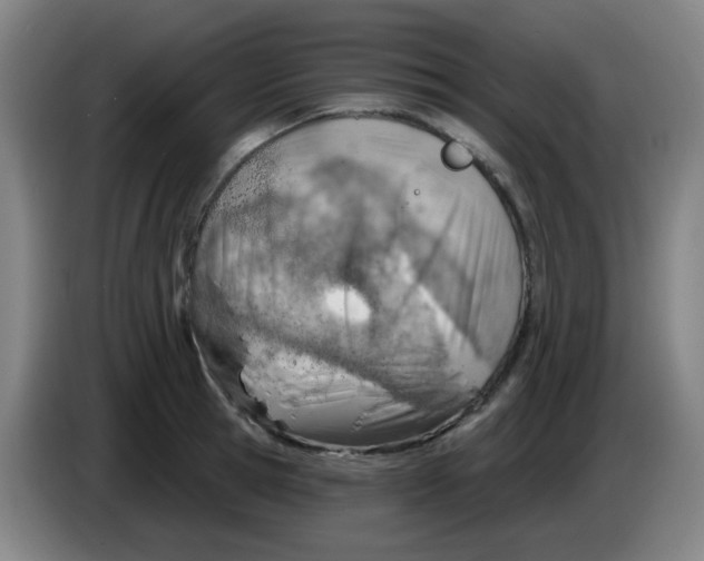 X0000085240945200703301744