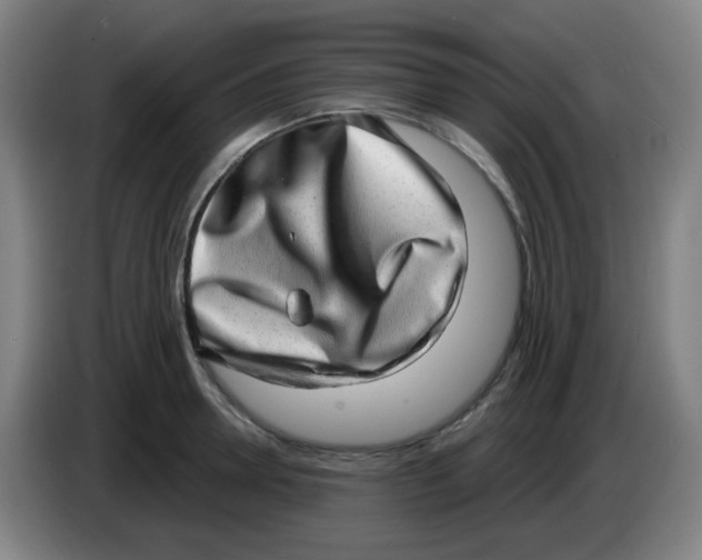 X0000085240946200703301745