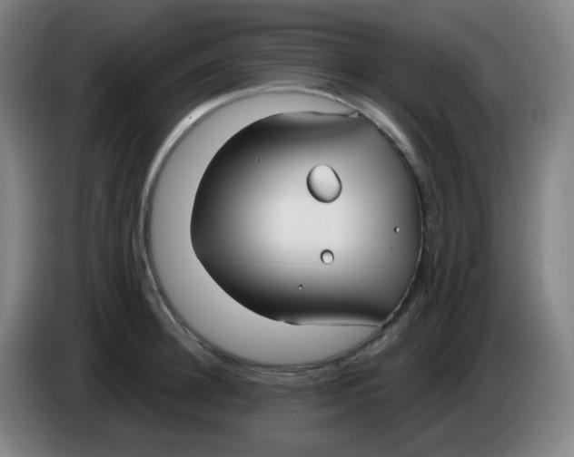 X0000085240948200703301745