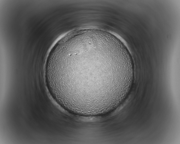 X0000085240949200703301745