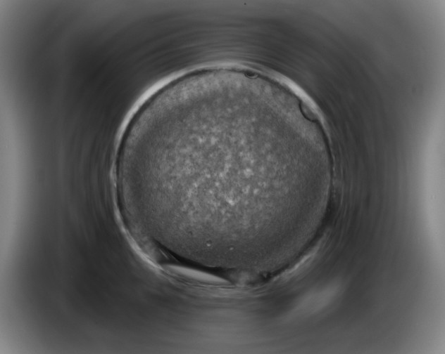 X0000085240951200703301745