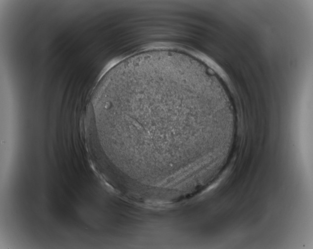 X0000085240953200703301745