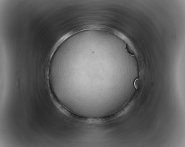 X0000085240954200703301745