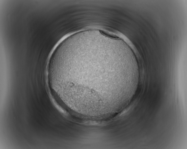 X0000085240955200703301745