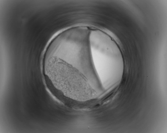 X0000085240958200703301745
