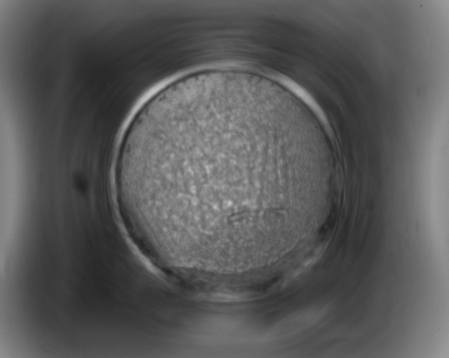 X0000085240959200703301745