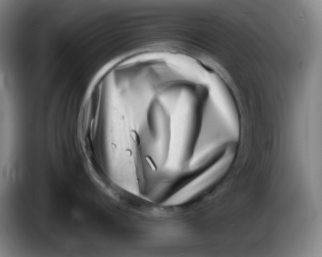 X0000085240960200703301745