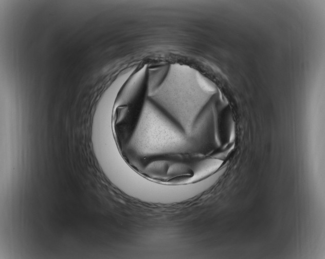 X0000085240965200703301744