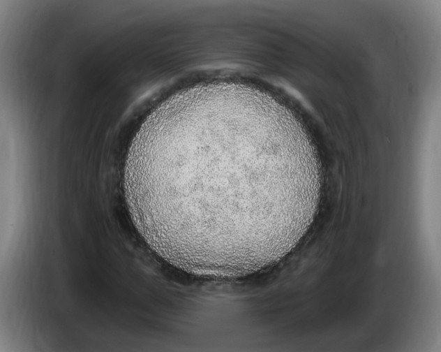 X0000085240967200703301744