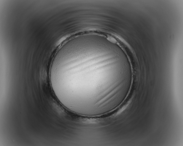 X0000085240969200703301744