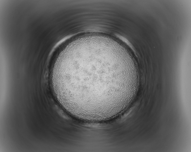 X0000085240971200703301744