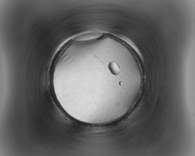 X0000085240972200703301744