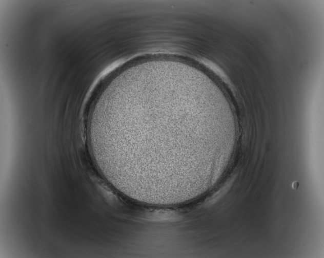 X0000085240974200703301744