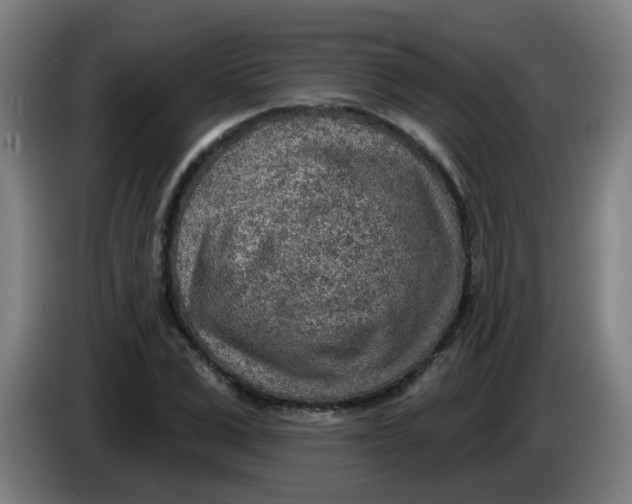 X0000085240975200703301744