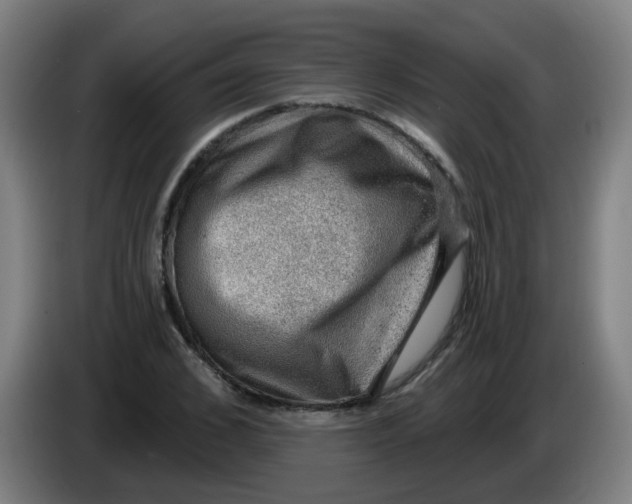 X0000085240976200703301744