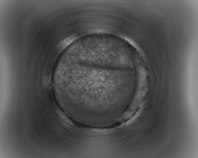 X0000085240977200703301744