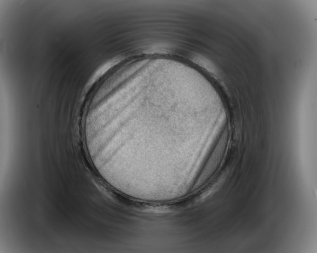 X0000085240978200703301744