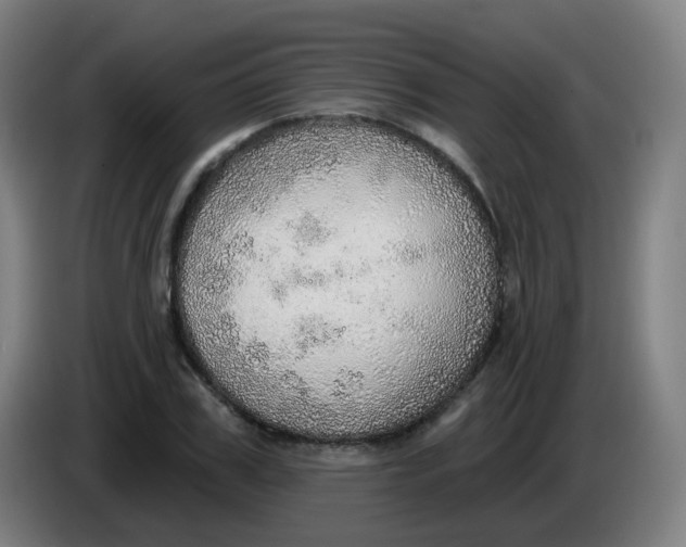 X0000085240979200703301744
