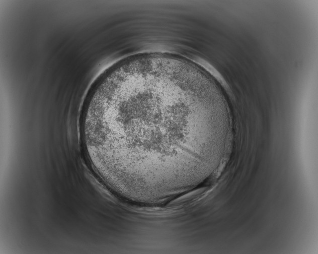X0000085240980200703301744
