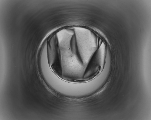 X0000085240981200703301744