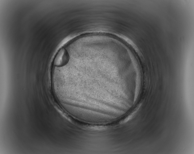 X0000085240982200703301744