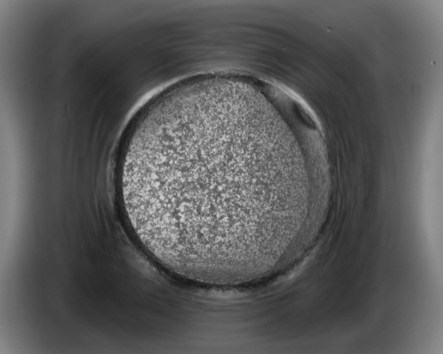 X0000085240983200703301744