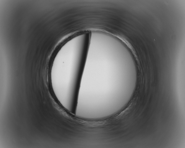 X0000085240984200703301744