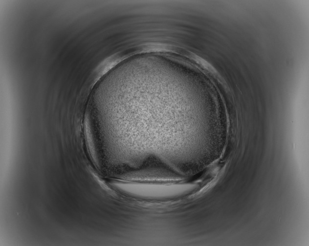 X0000085240985200703301744