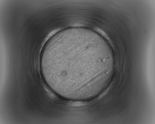 X0000085240986200703301744