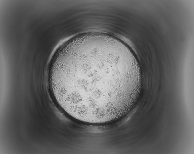 X0000085240987200703301744