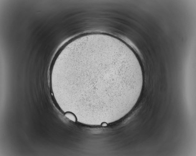 X0000085240988200703301744