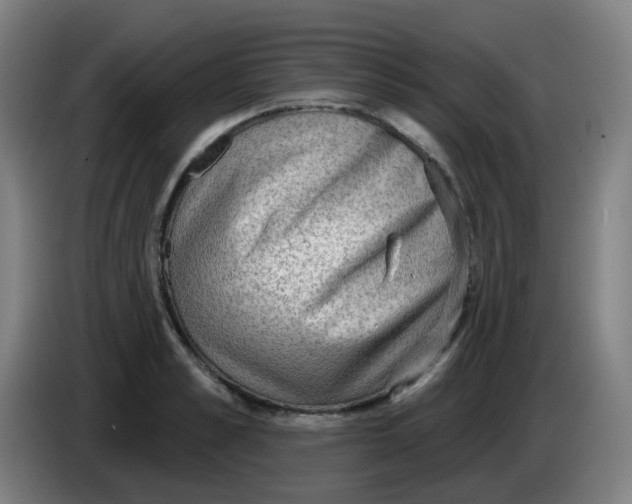 X0000085240989200703301744