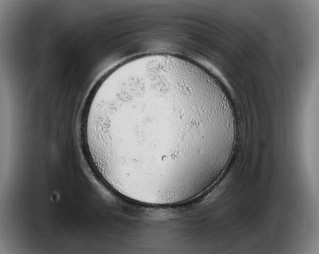 X0000085240991200703301744