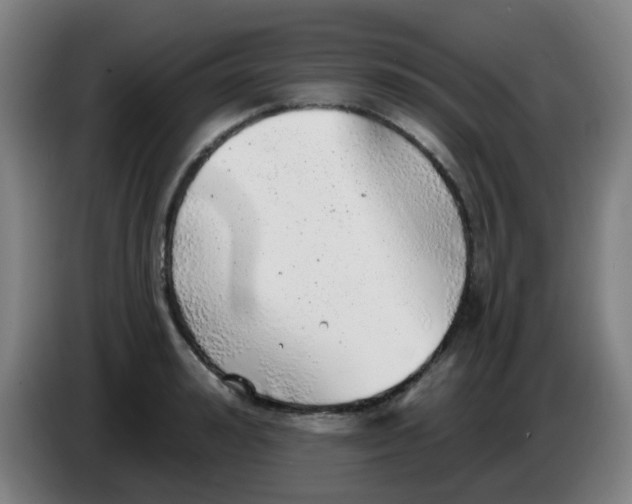 X0000085240992200703301744