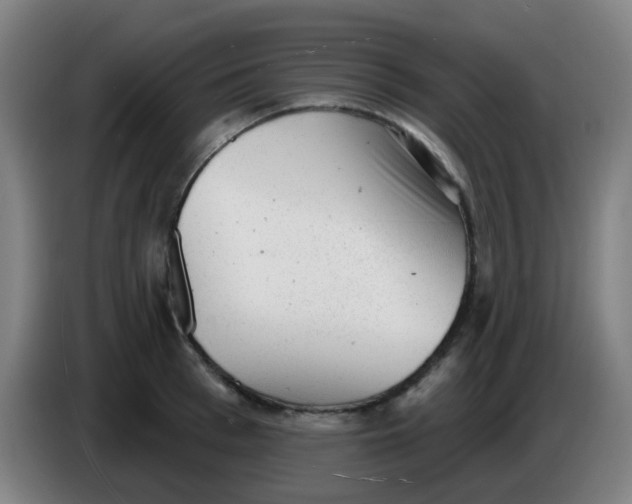 X0000085240993200703301744