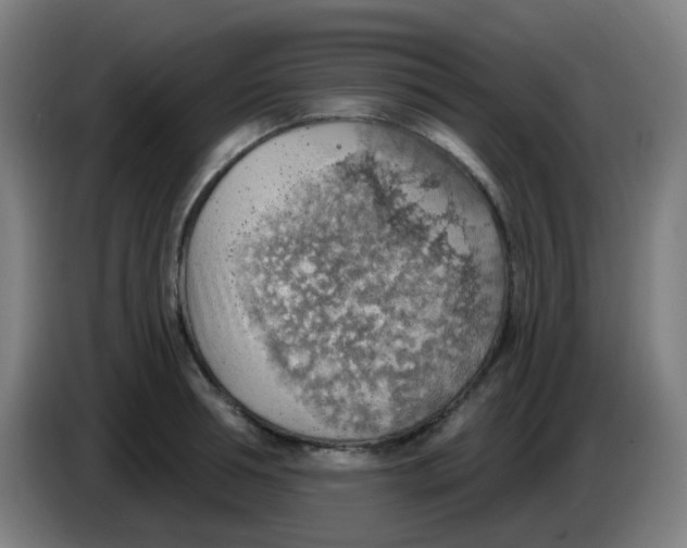 X0000085240994200703301744