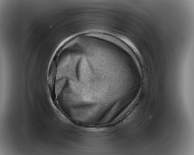 X0000085240996200703301744