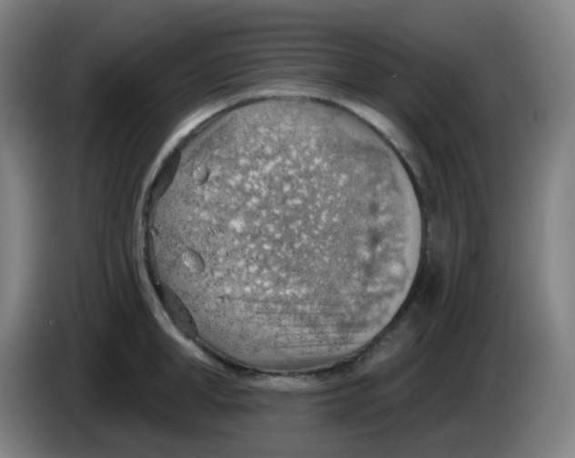 X0000085240998200703301744