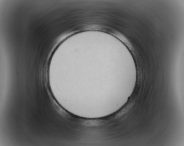 X0000085241000200703301743
