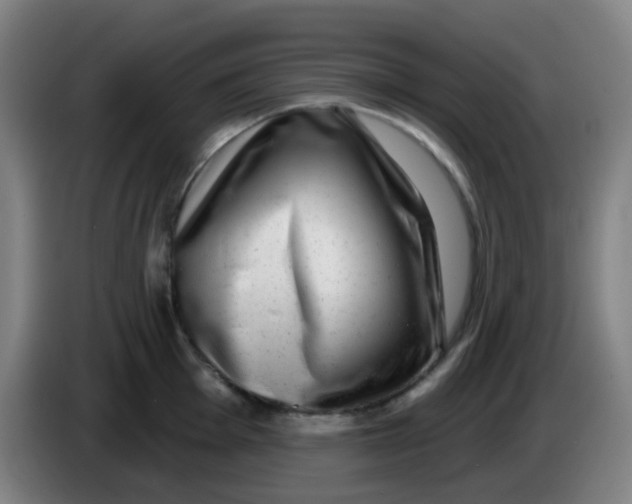 X0000085241001200703301743