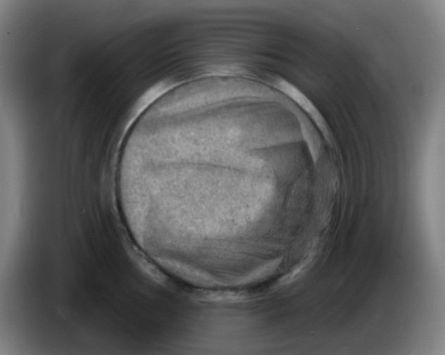 X0000085241002200703301743